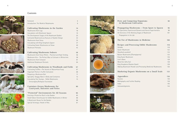 Home-Grown Mushrooms from Scratch