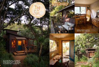 The Forest Feast Road Trip