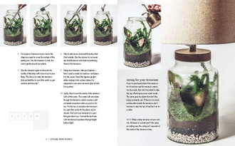 Wild at Home How to Style and Care for Beautiful Plants