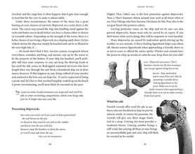 Viking : The Norse Warrior's (Unofficial) Manual