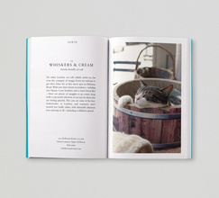 An Opinionated Guide To Big Kids' London