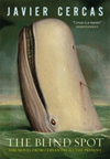 The Blind Spot The Novel from Cervantes to the Present