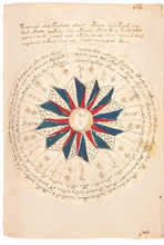 The Voynich Manuscript - Essays in German & English