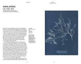 Photography (Art Essentials)