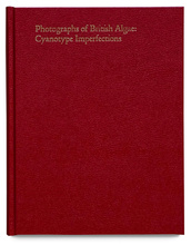 Cyanotype Imperfections