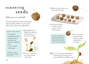 A Field Guide to Summer : Play and learn in nature