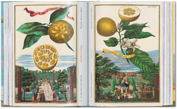 J. C. Volkamer. The Book of Citrus Fruits. 45th Ed.