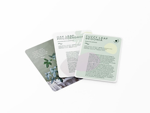 Leaf Supply Deck of Plants