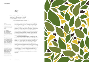 Herbarium : One Hundred Herbs