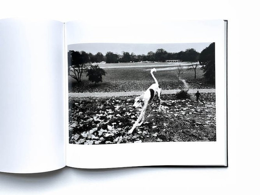 Josef Koudelka: Exiles