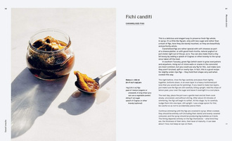 Torta della Nonna : A Collection of the Best Homemade Italian Sweets