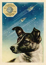 Soviet Space Dogs