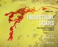 Industrial Scars The Hidden Cost of Consumption