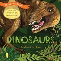 Shine a Light: Dinosaurs : A shine-a-light book