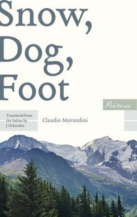 Snow, Dog, Foot