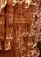 Doug Aitken Electric Earth