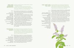 Jekka's Herb Cookbook: Foreword by Jamie Oliver