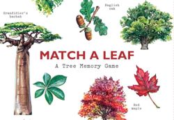 Match a Leaf : A Tree Memory Game