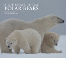 Polar Bears A Life Under Threat