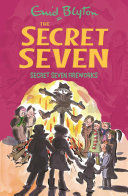 Secret Seven: Secret Seven Fireworks : Book 11