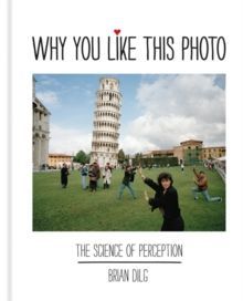 Why You Like This Photo :The science of perception